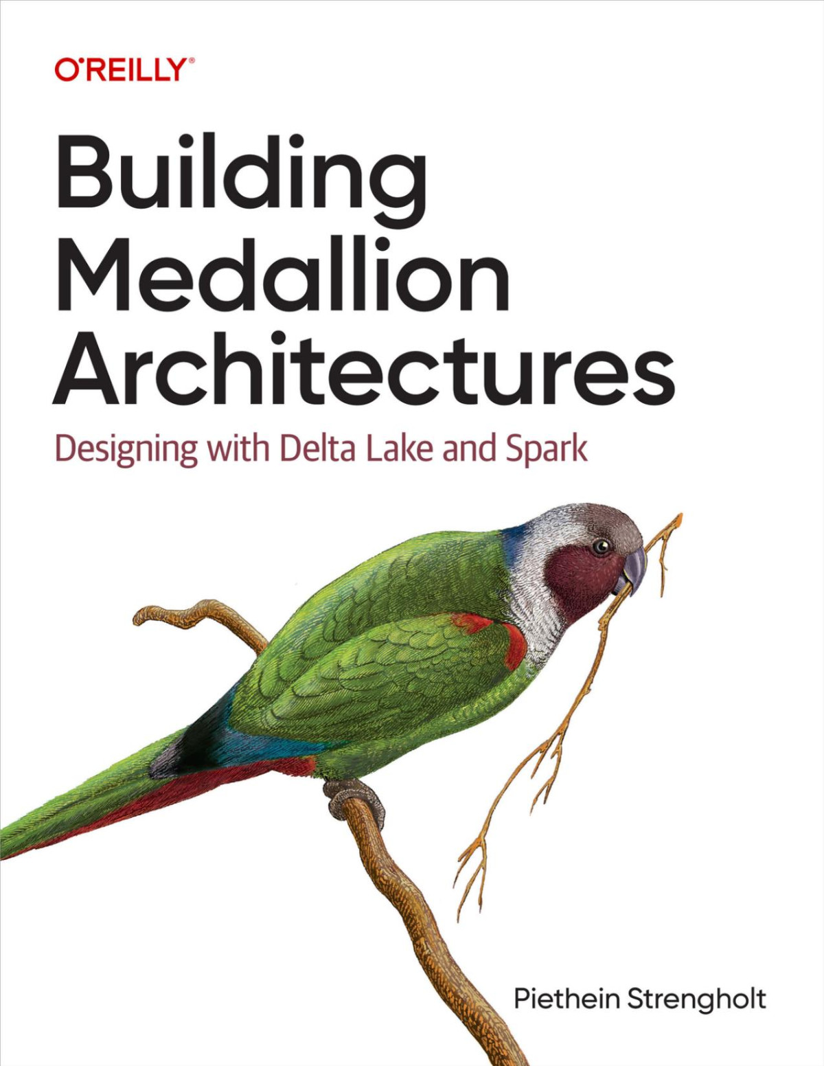 Building Medallion Architectures For True Epub Piethein Strengholt
