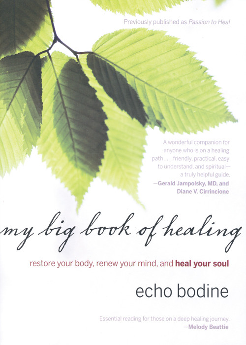 My Big Book Of Healing Restore Your Body Renew Your Mind And Heal Your Soul Bodine Echo