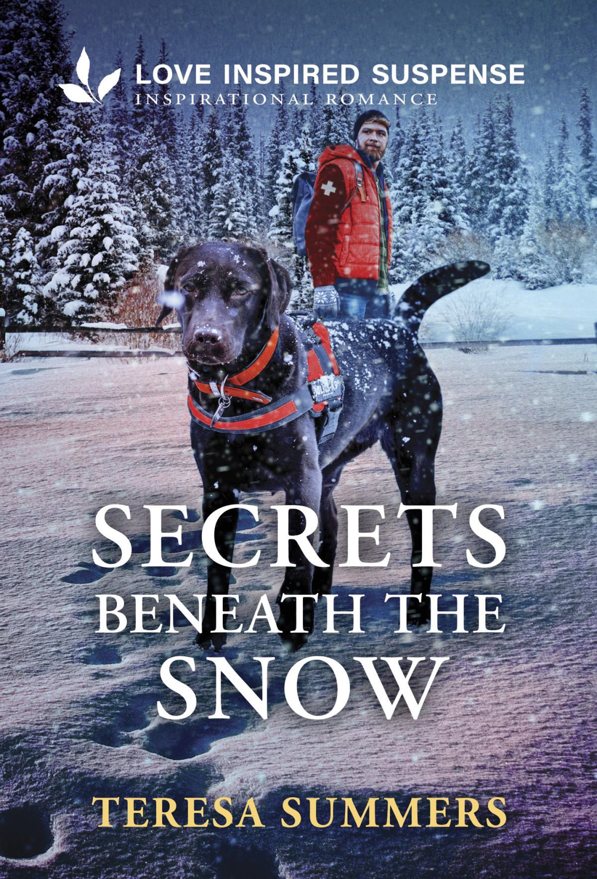Secrets Beneath The Snow Teresa Summers