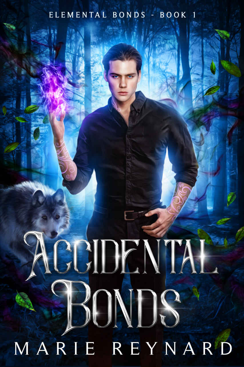 Accidental Bonds Elemental Bonds Book 1 Marie Reynard