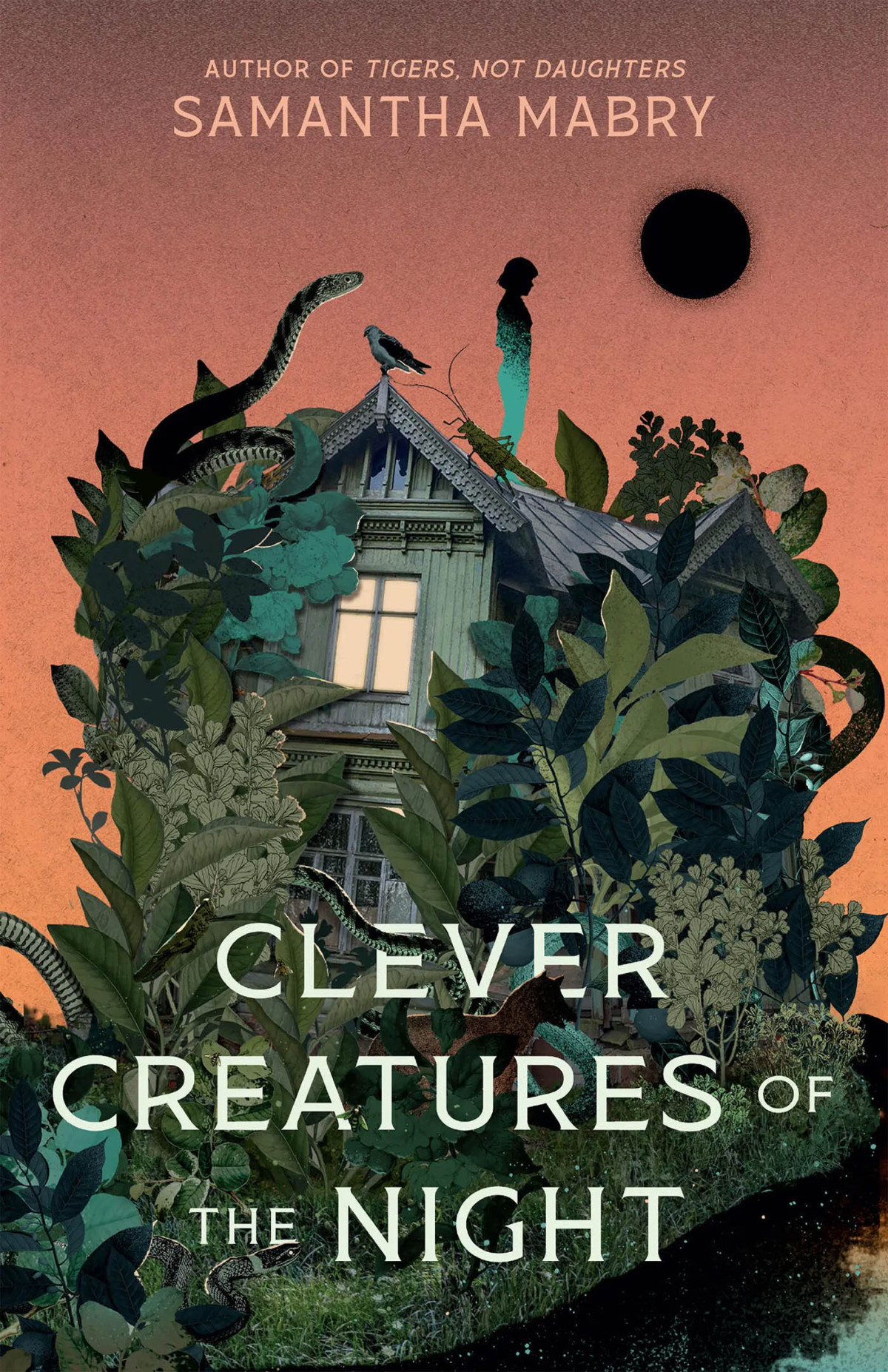 Clever Creatures Of The Night Samantha Mabry