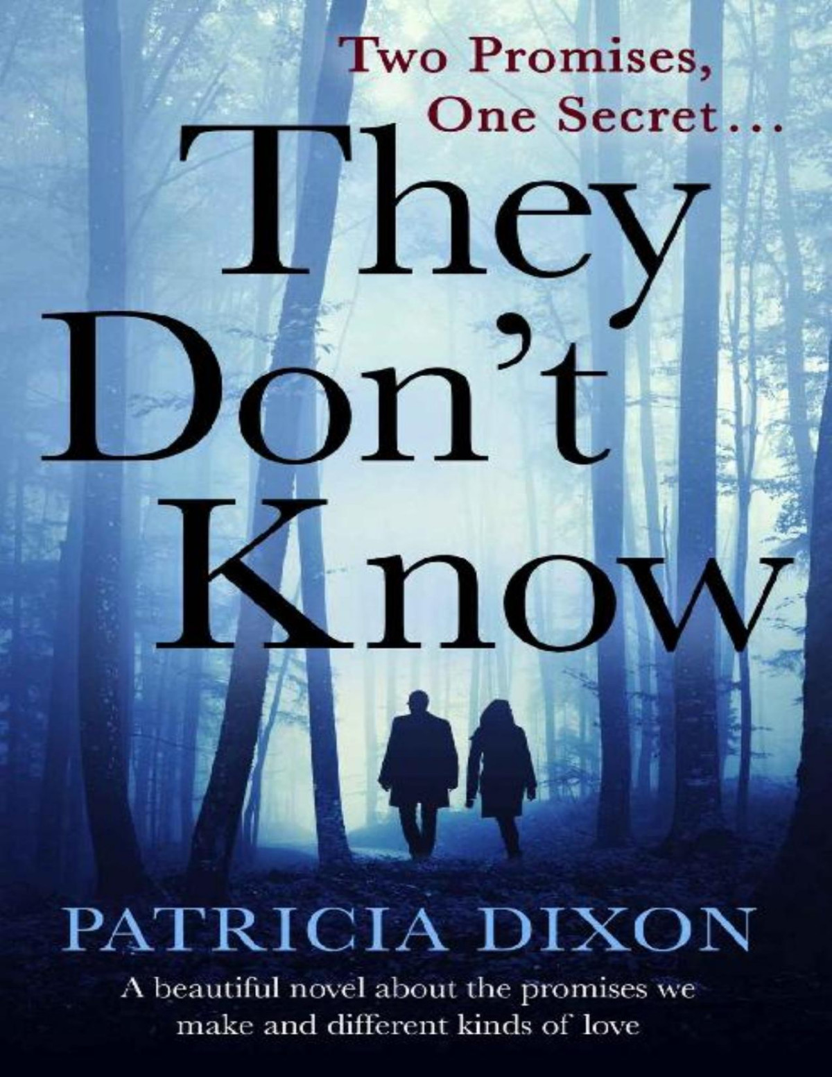 They Dont Know A Beautiful Novel About The Promises We Make Patricia Dixon