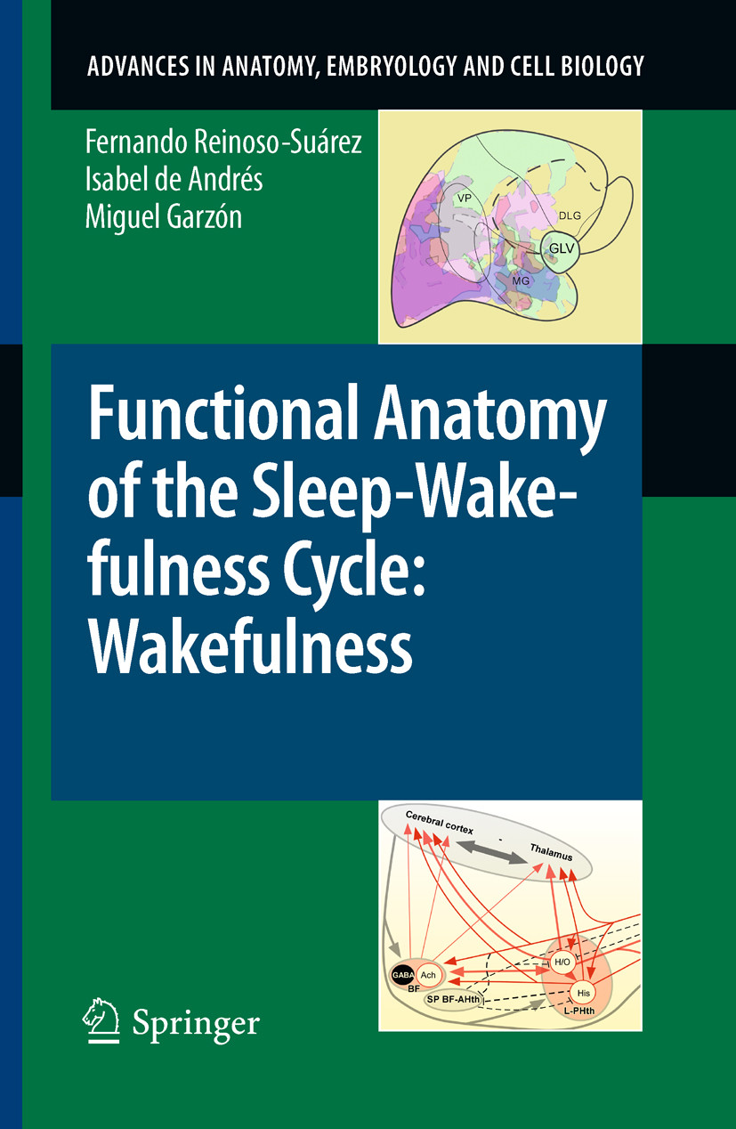 Functional Anatomy Of The Sleepwakefulness Cycle Wakefulness 1st Fernando Reinososuárez
