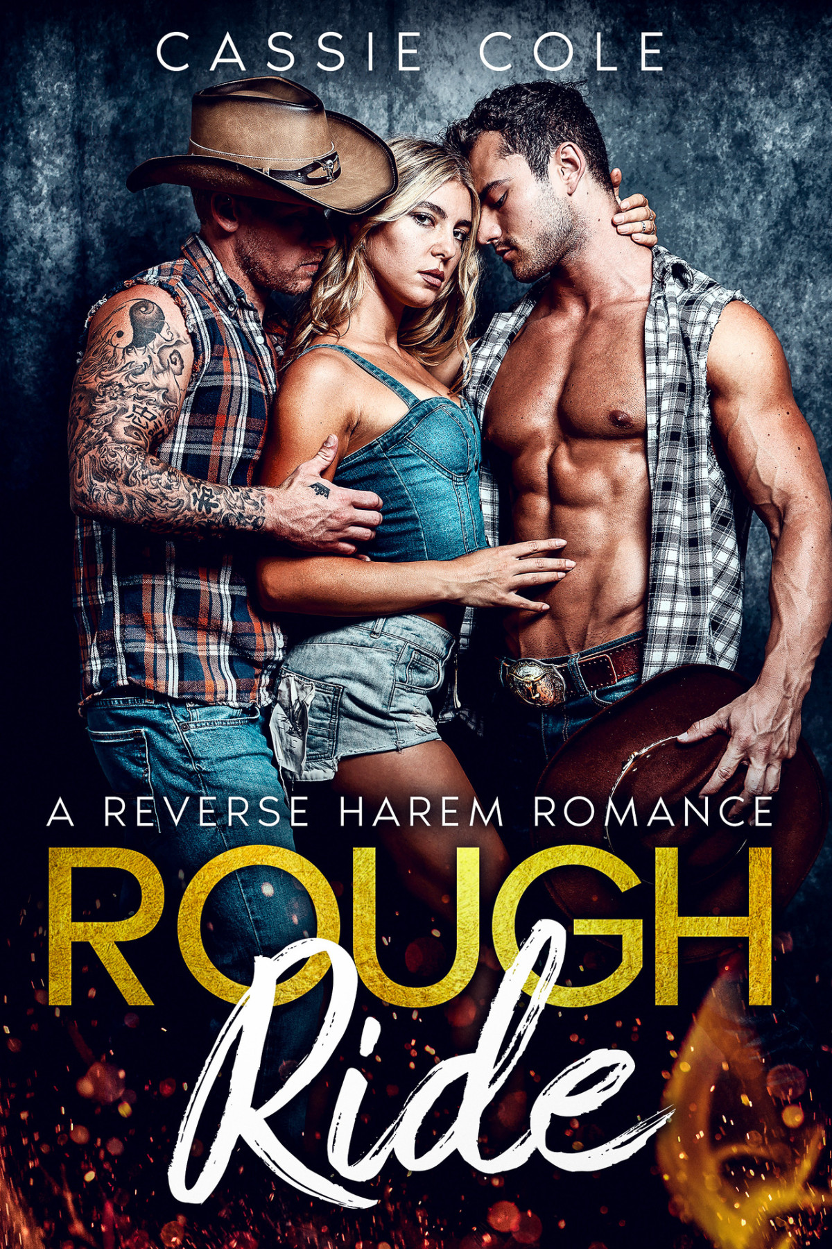 Rough Ride A Reverse Harem Romance Cassie Cole