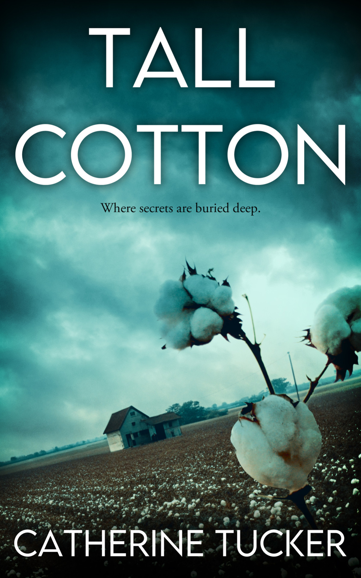 Tall Cotton Catherine Tucker