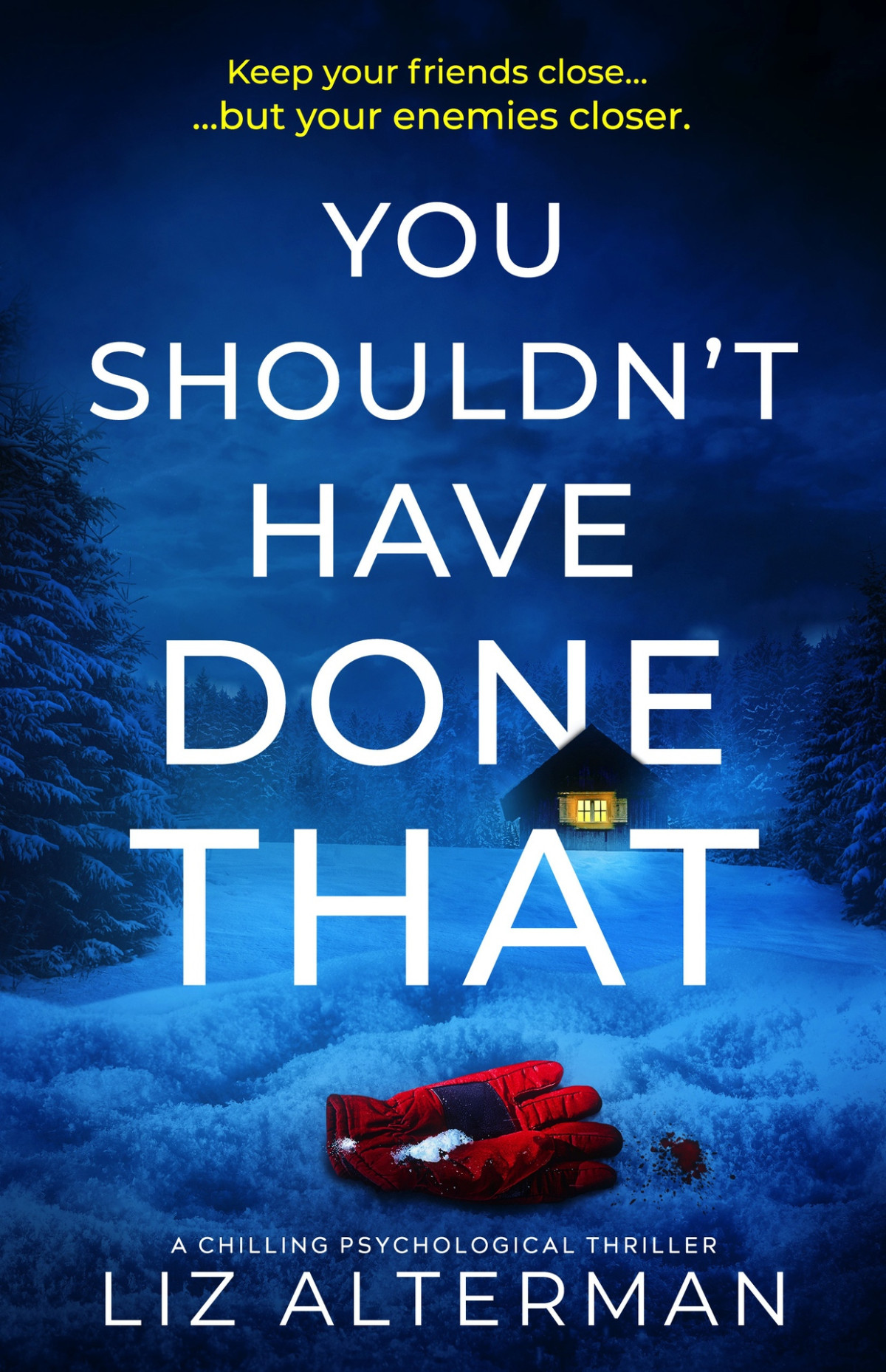 You Shouldnt Have Done That A Chilling Psychological Thriller 1st Edition Liz Alterman