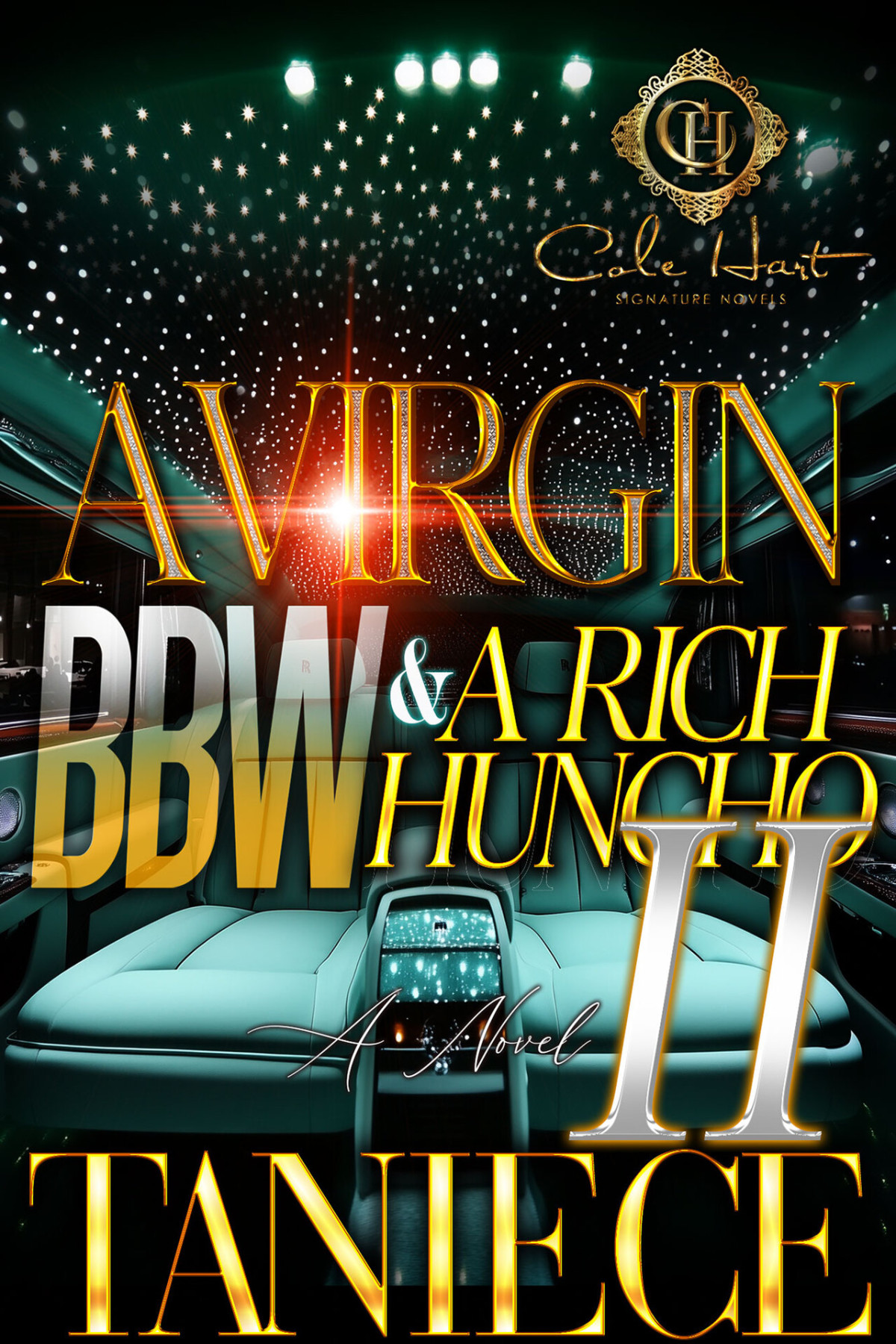 A Virgin Bbw A Rich Huncho 2 An African American Romance The Finale Taniece