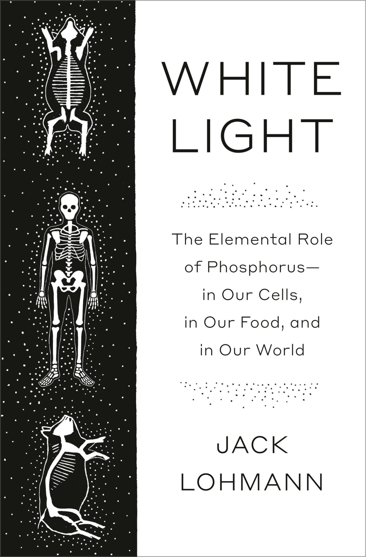 White Light The Elemental Role Of Phosphorusin Our Cells In Our Food And In Our World Jack Lohmann