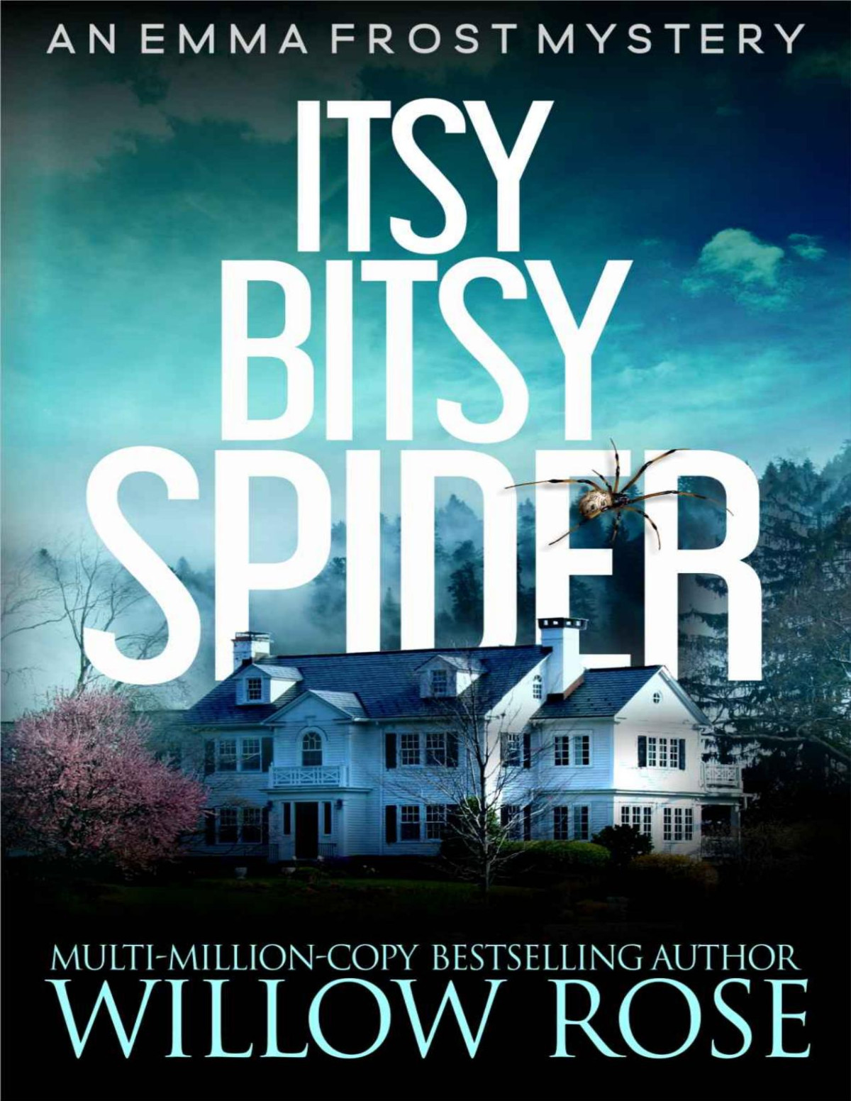 Itsy Bitsy Spider Emma Frost Book 1 Willow Rose