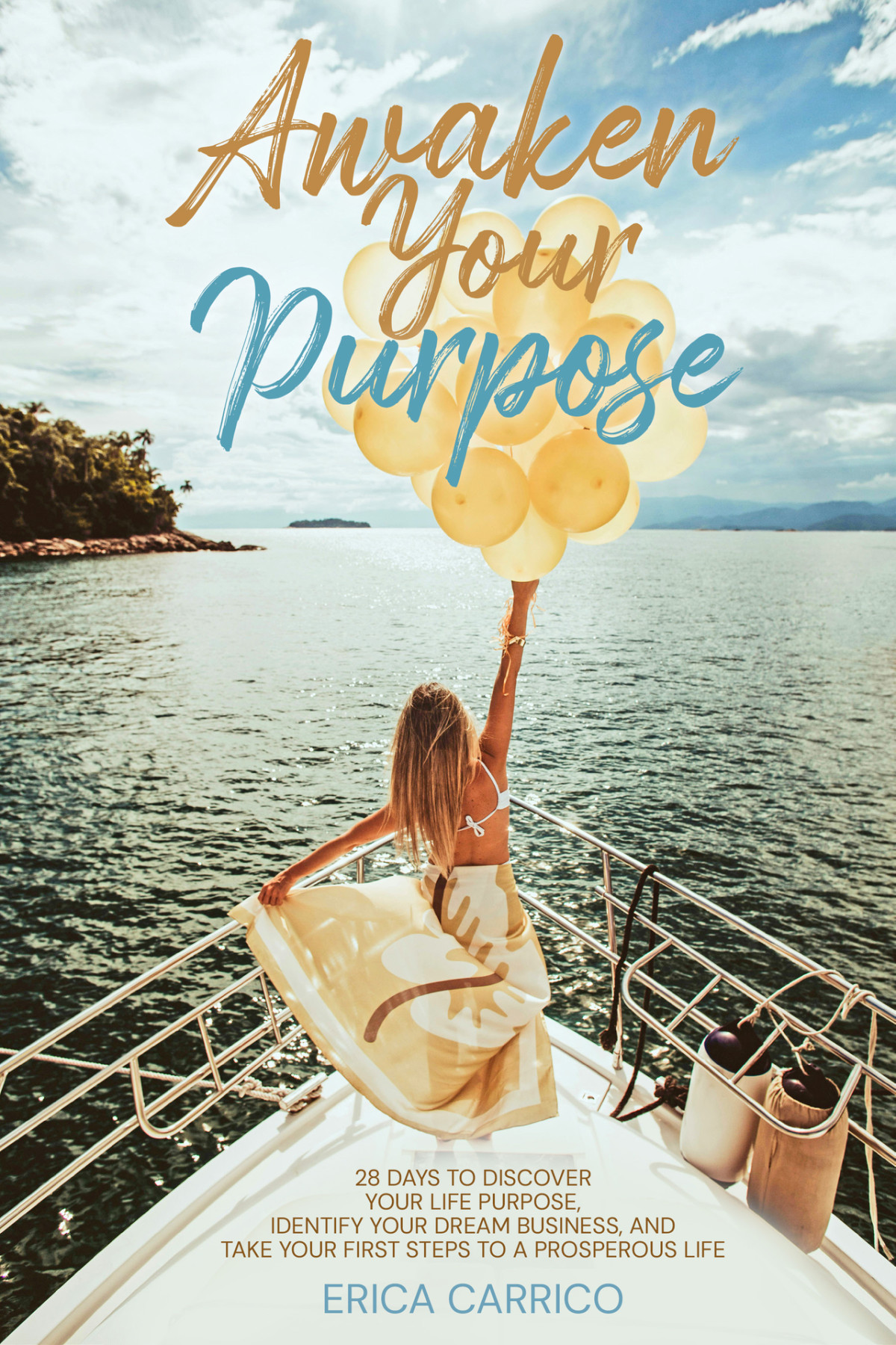 Awaken Your Purpose 28 Days To Discover Your Life Purpose Identify Your Dream Business And Take Your First Steps To A Prosperous Life Erica Carrico