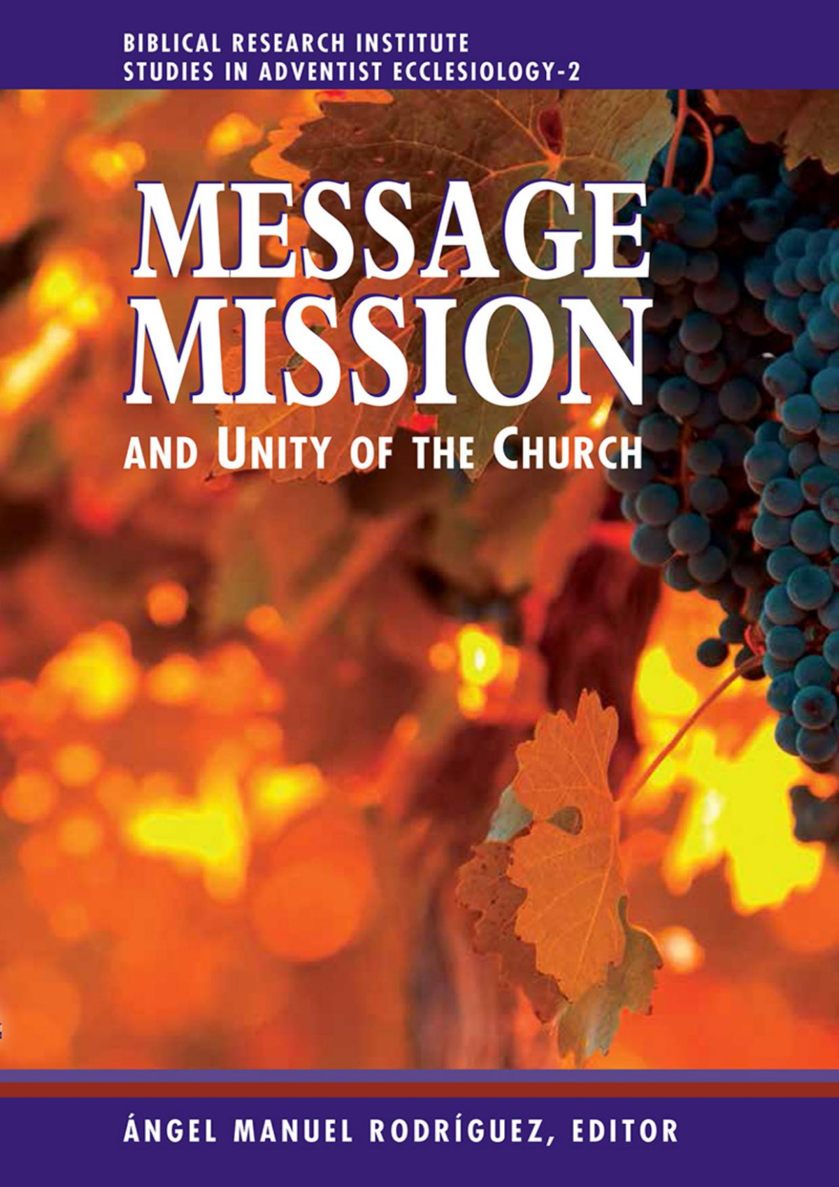 Message Mission And Unity Of The Church Angel Manuel Rodriguez