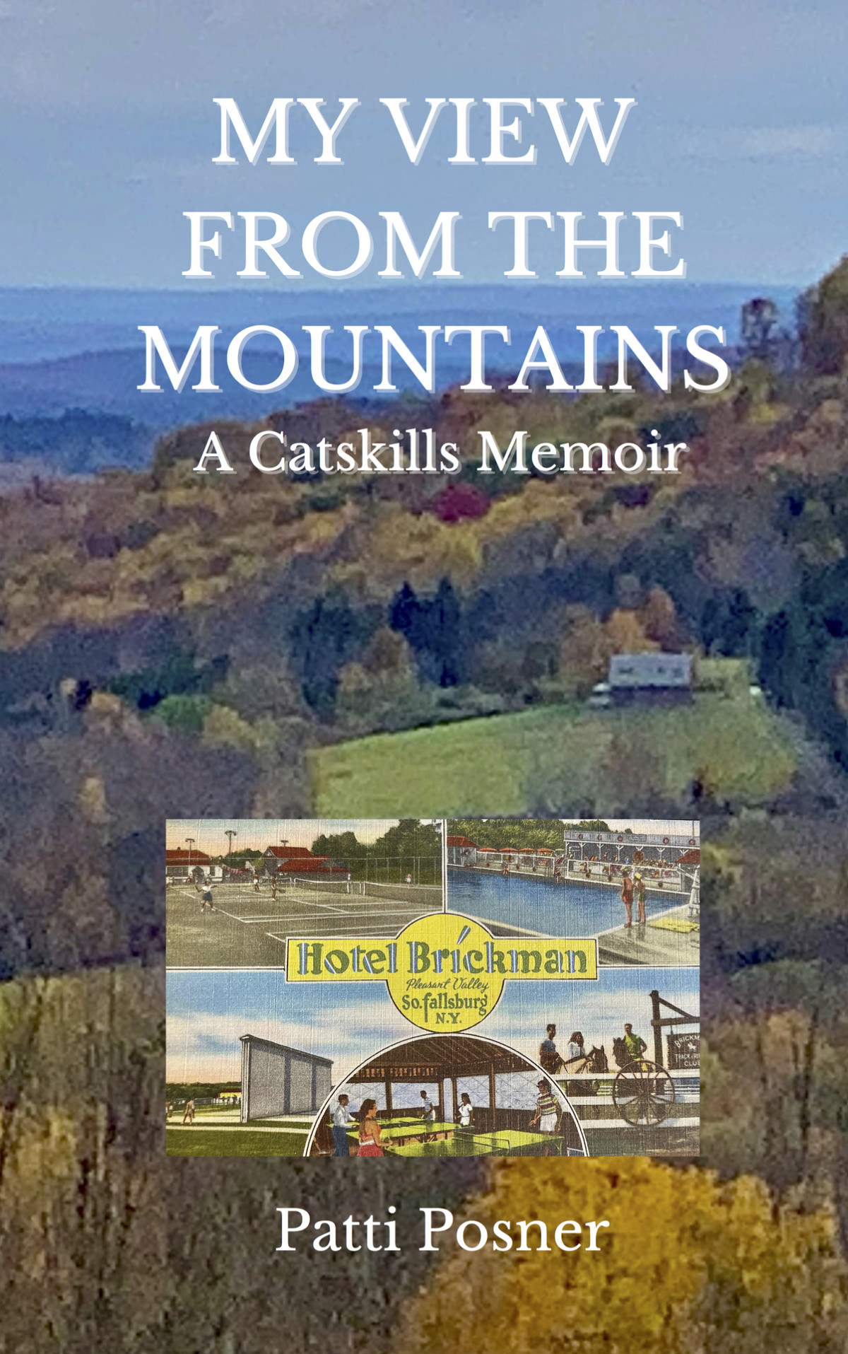 My View From The Mountains A Catskills Memoir Patti Posner