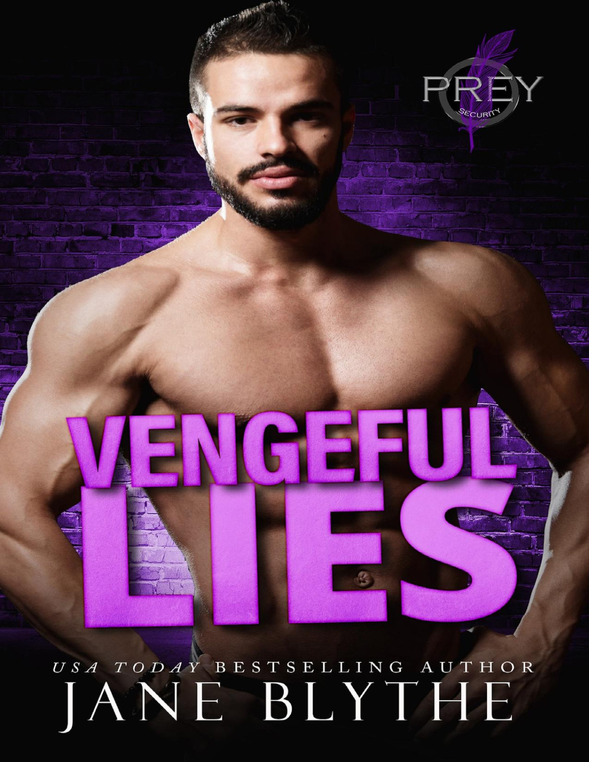Vengeful Lies Prey Security Charlie Team Book 4 Jane Blythe