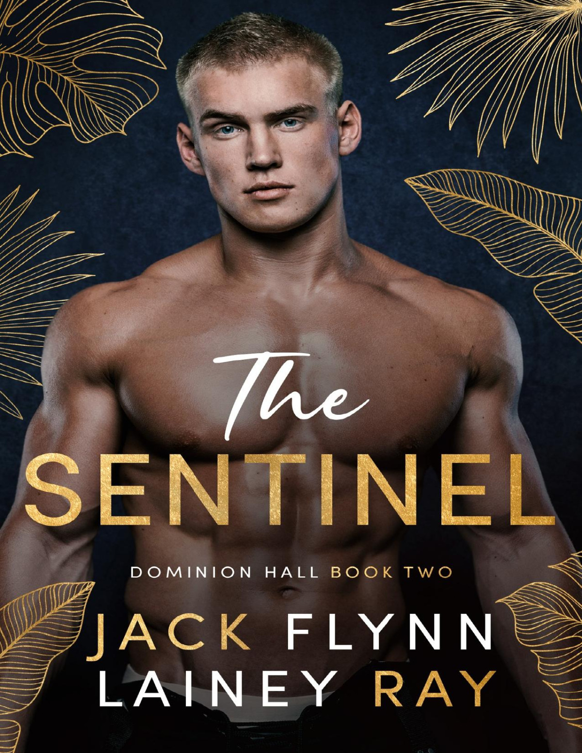 The Sentinel A Dark Billionaire Military Romance Dominion Hall Book 2 Jack Flynn Lainey Ray