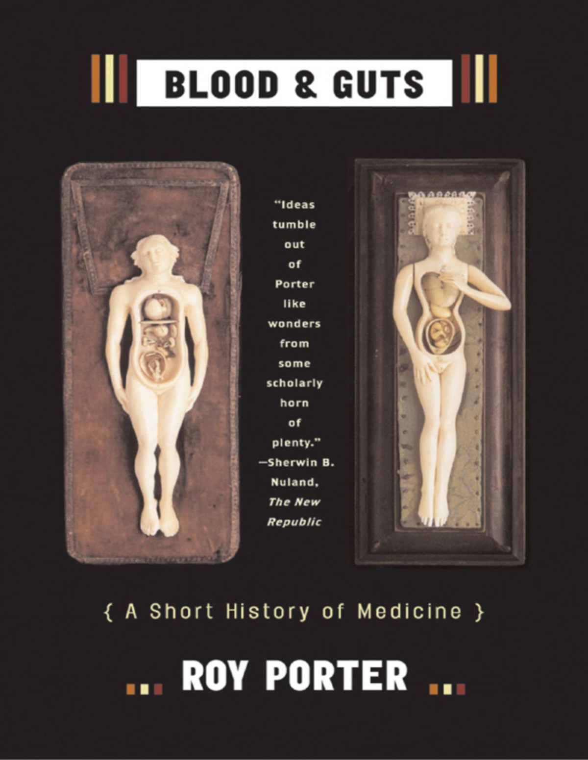 Blood And Guts A Short History Of Medicine Roy Porter