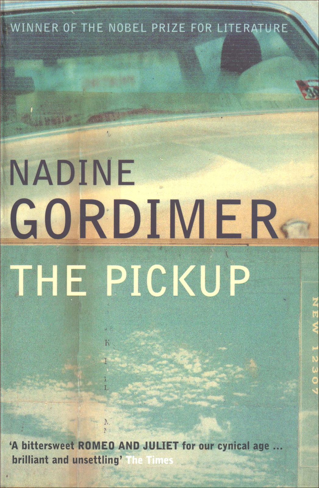The Pickup Nadine Gordimer