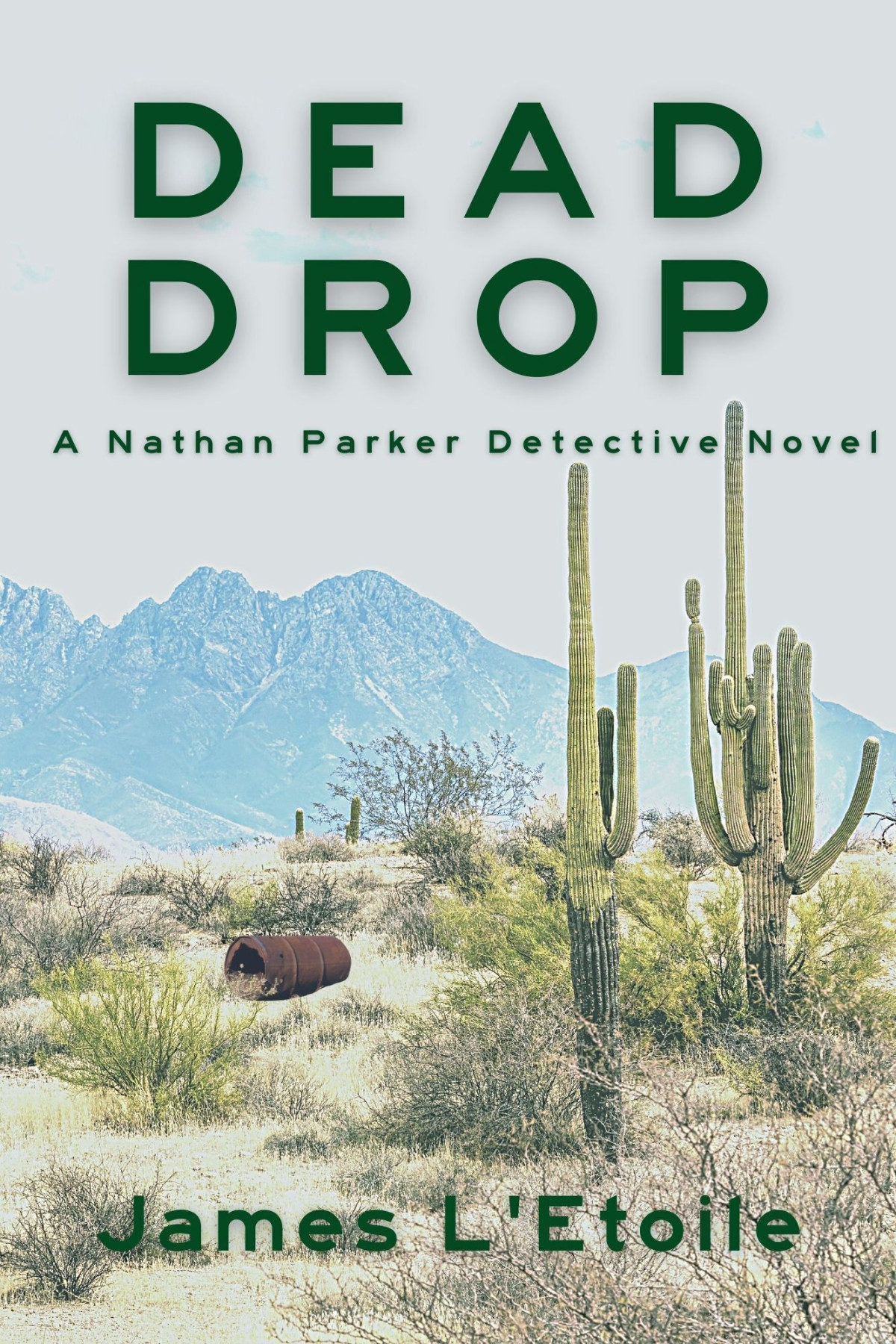Dead Drop A Detective Nathan Parker Novel James Letoile