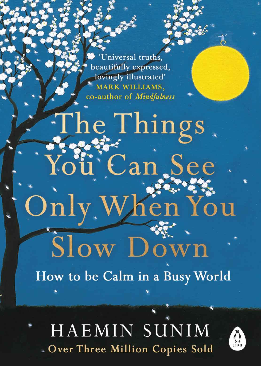 The Things You Can See Only When You Slow Down Haemin Sunim