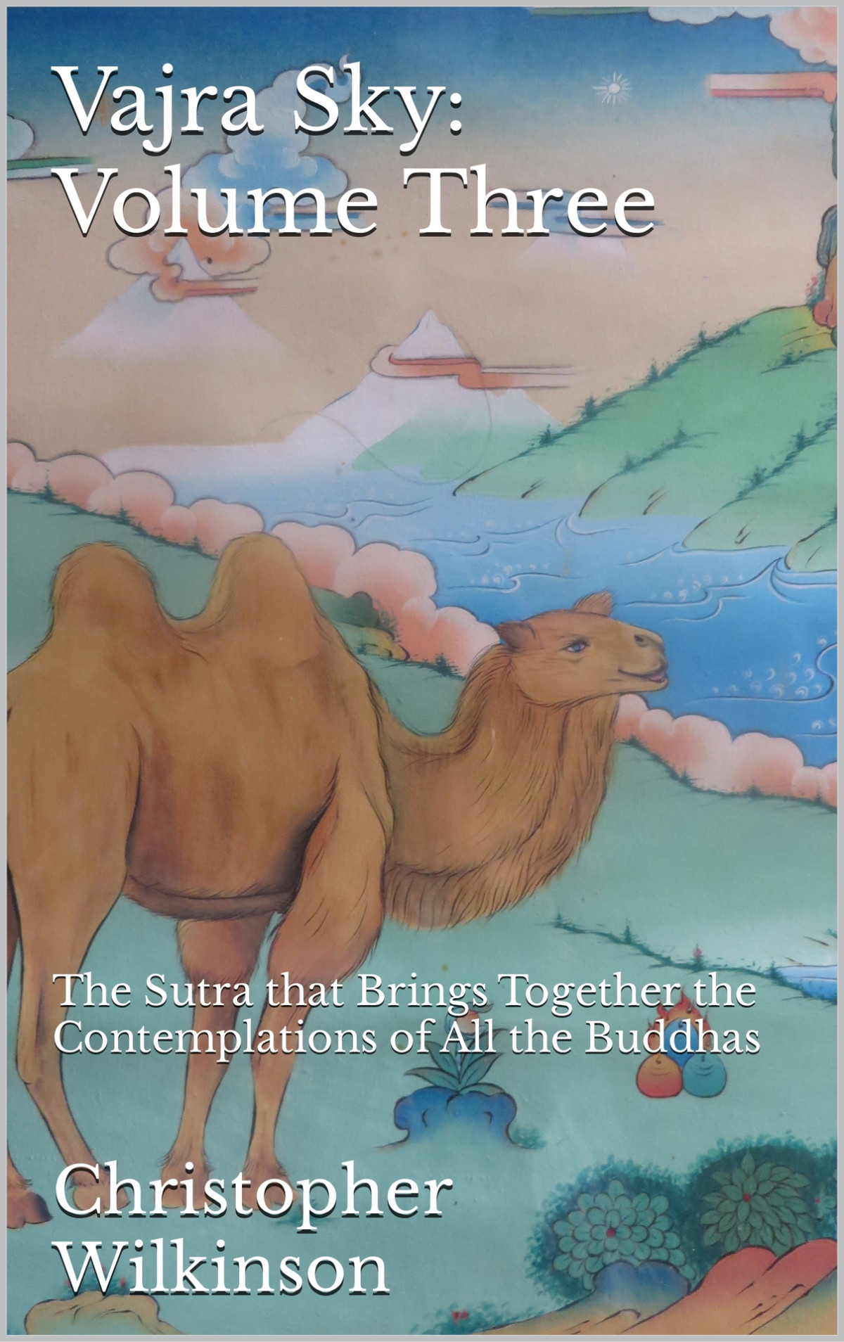 Vajra Sky Volume Three The Sutra That Brings Together The Contemplations Of All The Buddhas Christopher Wilkinson