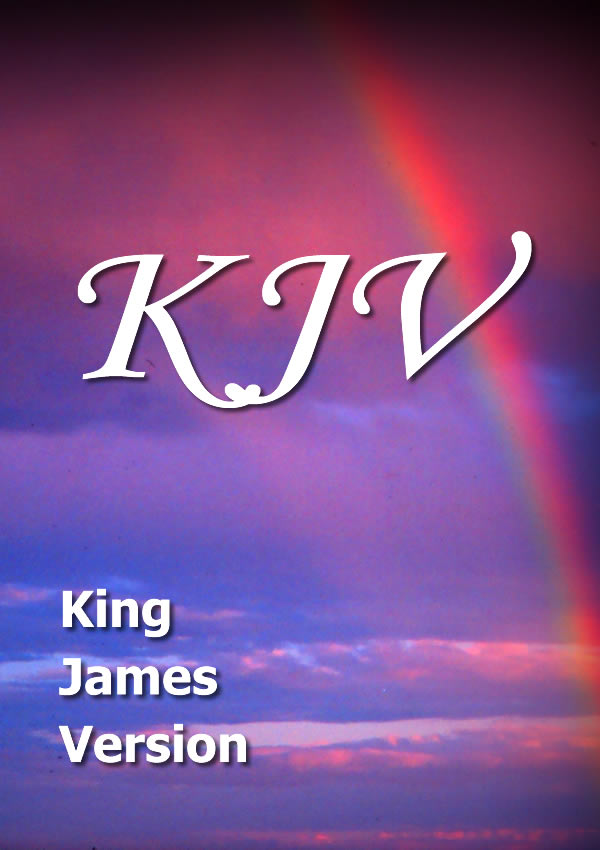 King James Bible Various