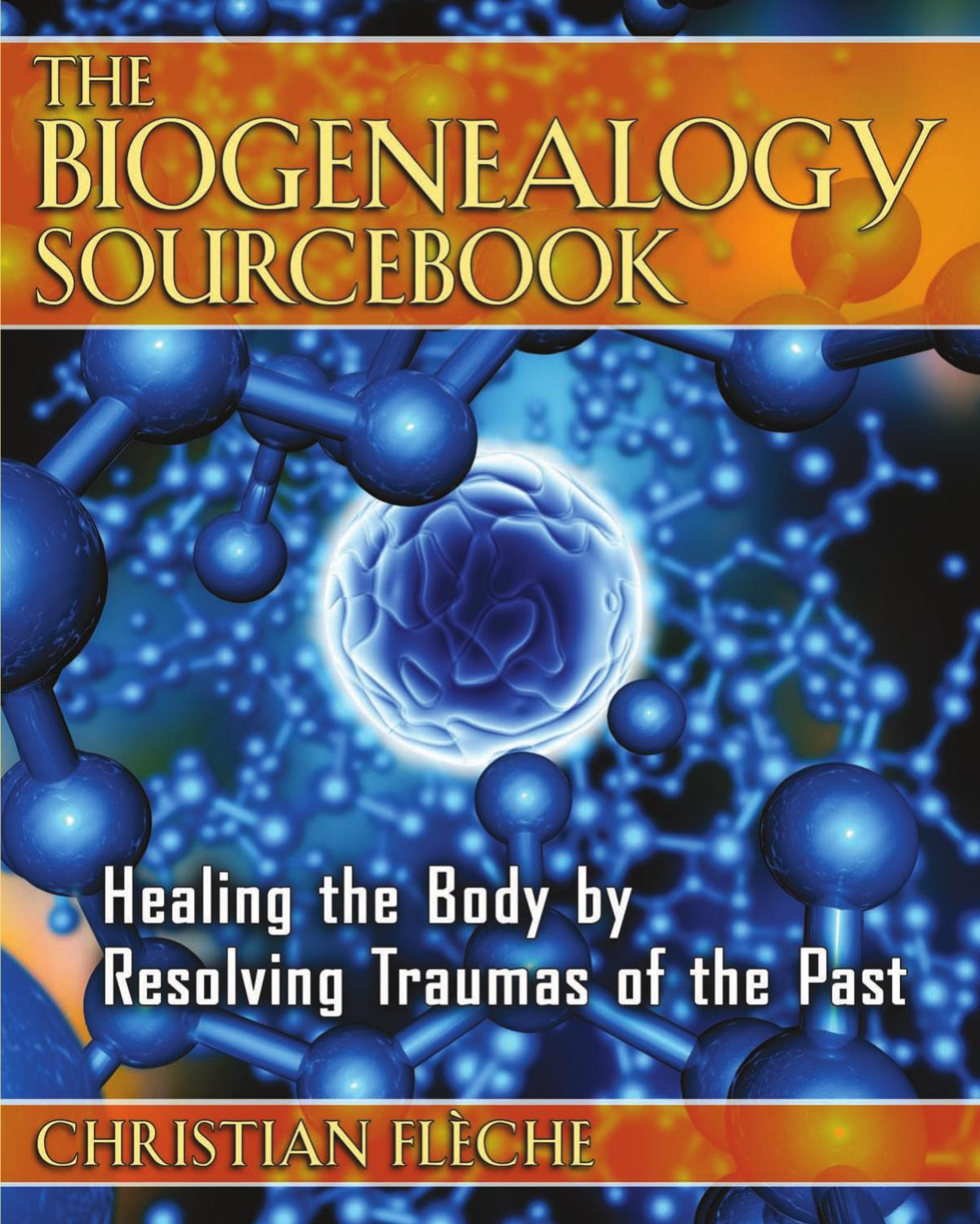 The Biogenealogy Sourcebook Healing The Body By Resolving Traumas Of The Past Christian Flche Flche