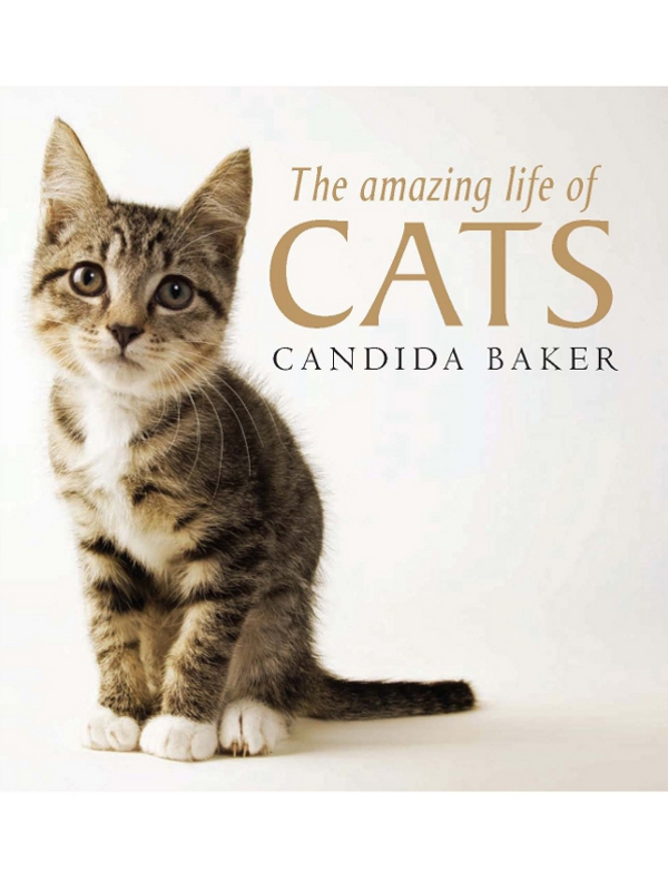 The Amazing Life Of Cats Candida Baker Baker Candida