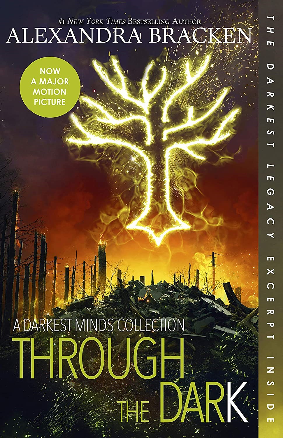 Through The Dark Bonus Content Darkest Minds Novel A Alexandra Bracken Bracken
