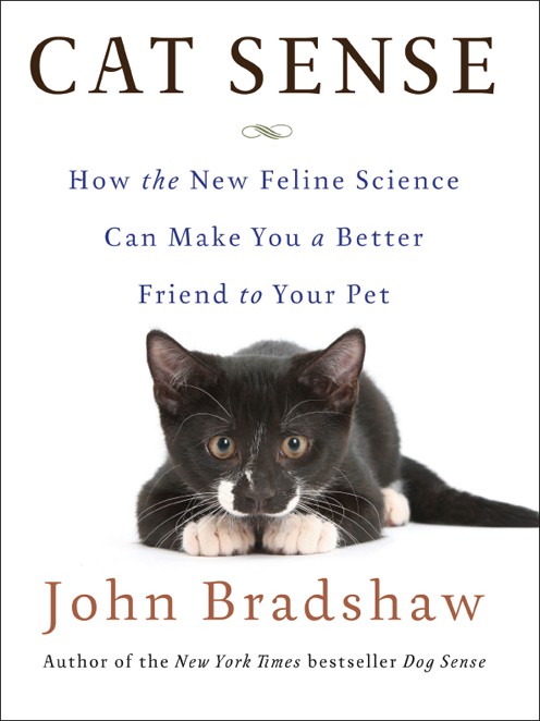 Cat Sense How The New Feline Science Can Make You A Better Friend To Your Pet John Bradshaw Bradshaw