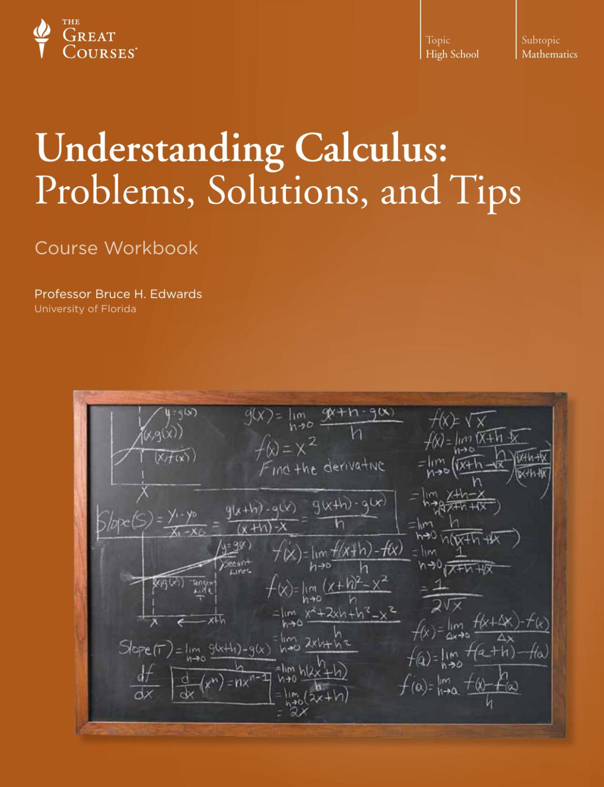 Understanding Calculus Problems Solutions And Tips Bruce H Edwards