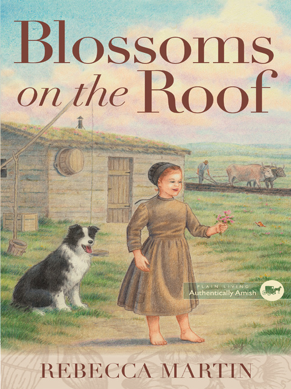 Blossoms On The Roof Amish Frontier 1 Rebecca Martin Martin