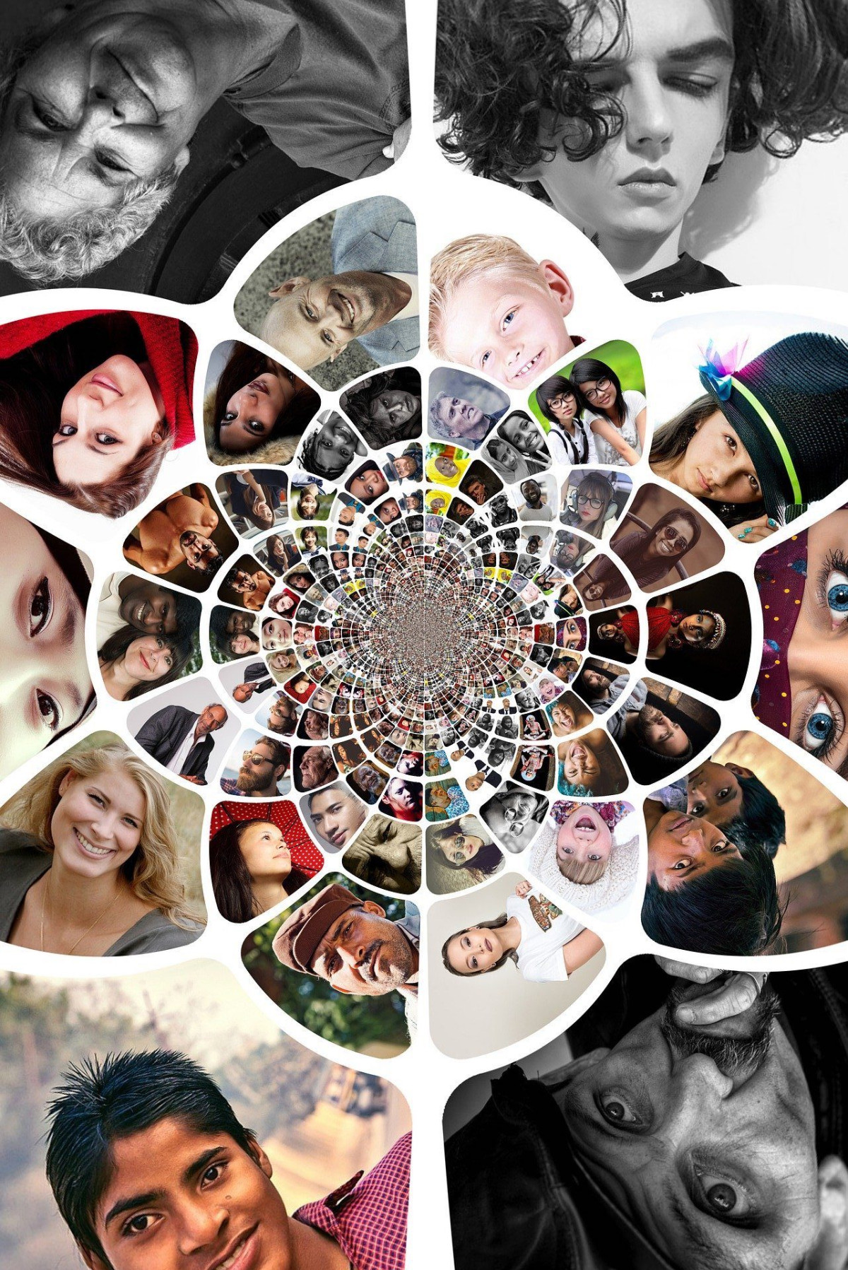 Human Behavior And The Social Environment I Susan Tyler Tyler
