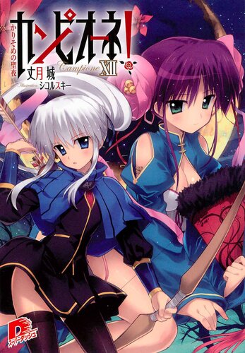 Campione Volume 12 Transient Holy Night Taketsuki Jou Jou