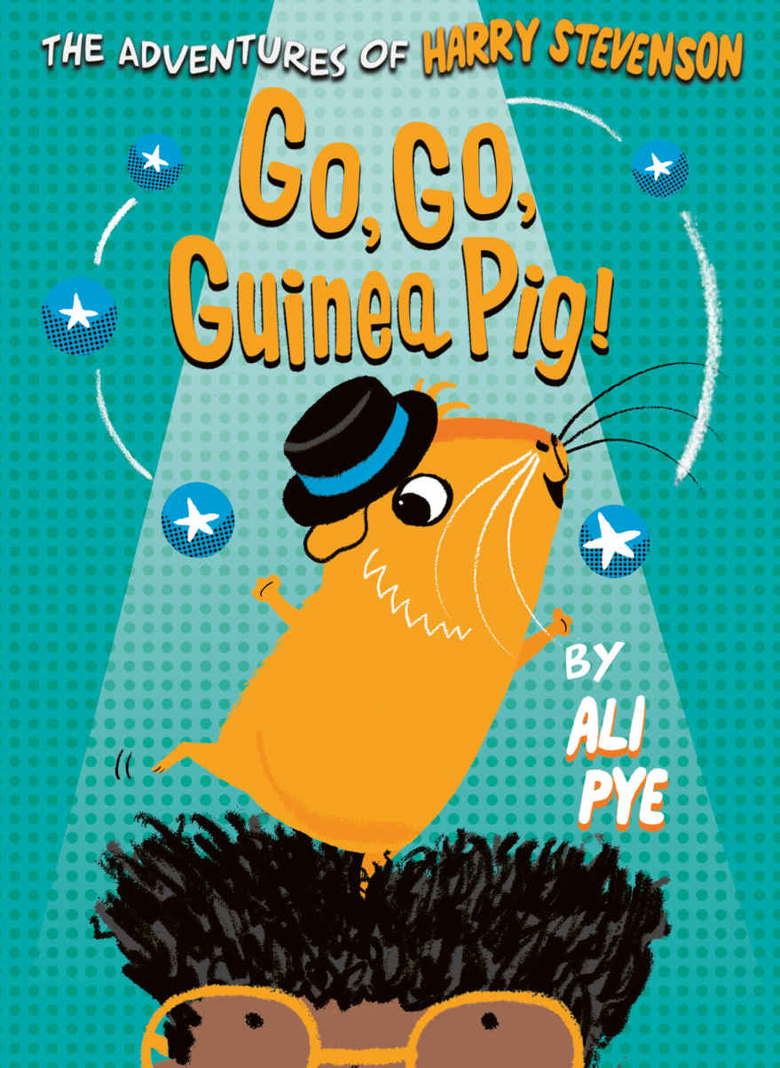 Go Go Guinea Pig Adventures Of Harry Stevenson Book 3 Ali Pye Pye