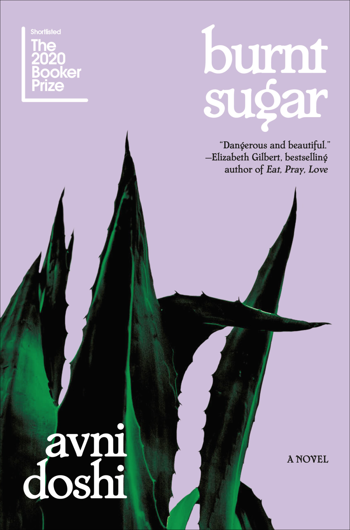 Burnt Sugar Avni Doshi