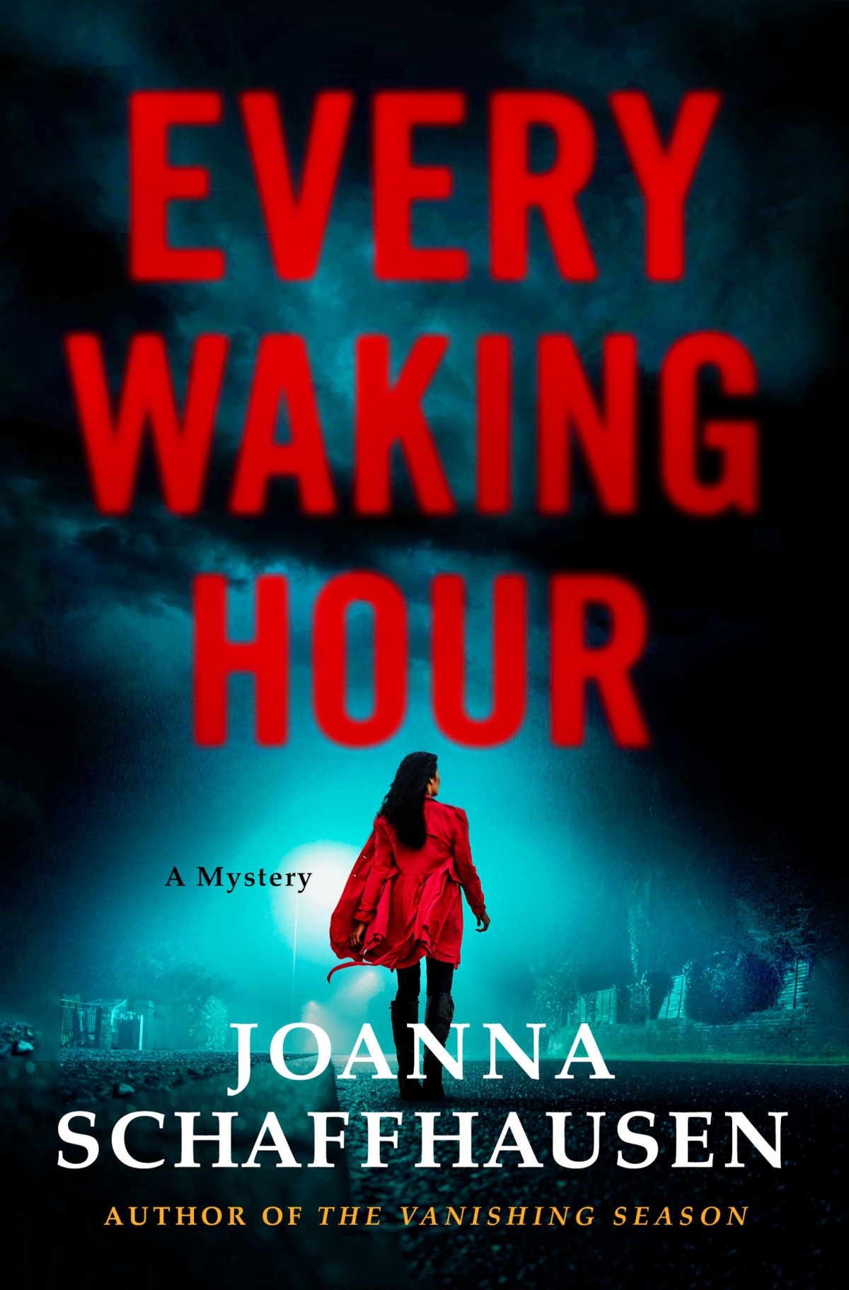Every Waking Hour Joanna Schaffhausen
