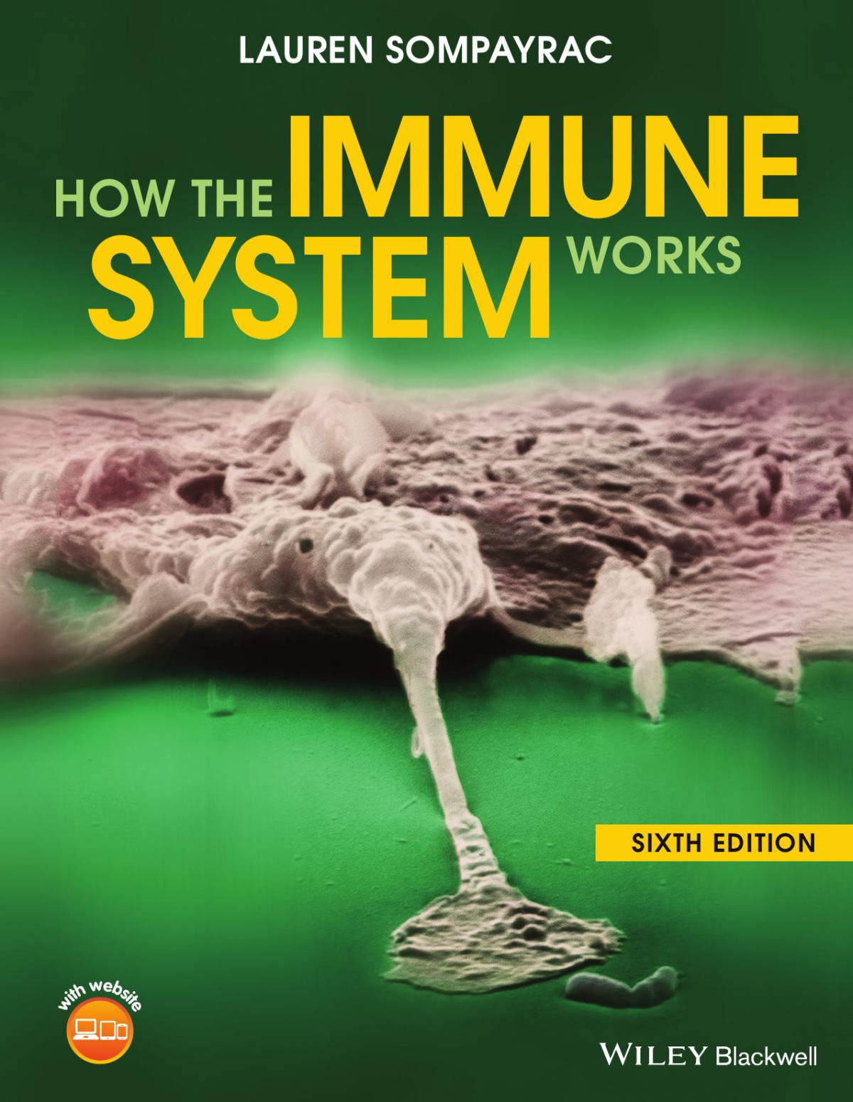 How The Immune System Works Lauren Sompayrac