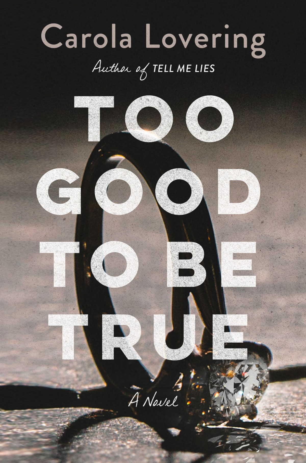 Too Good To Be True 1st Edition Carola Lovering