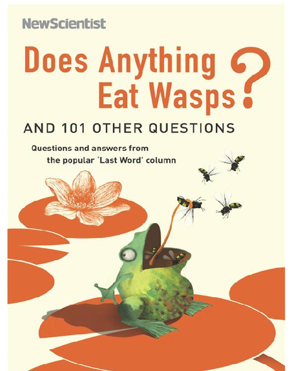Does Anything Eat Wasps Mick Ohare Ohare Mick