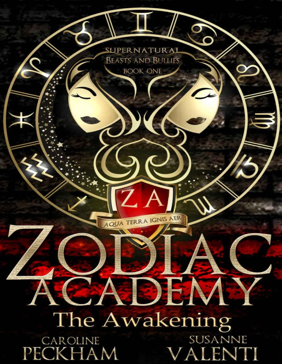 Zodiac Academy Book 1 The Awakening Caroline Peckham And Susanne Valenti