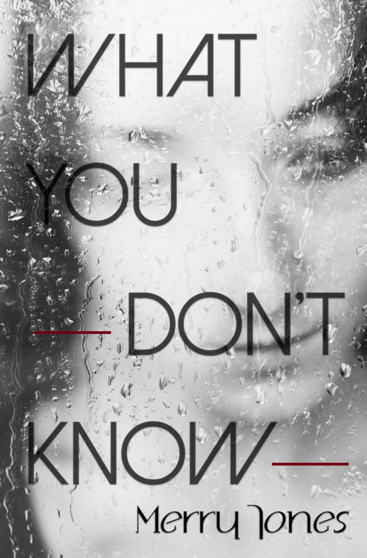What You Dont Know Merry Jones Jones Merry