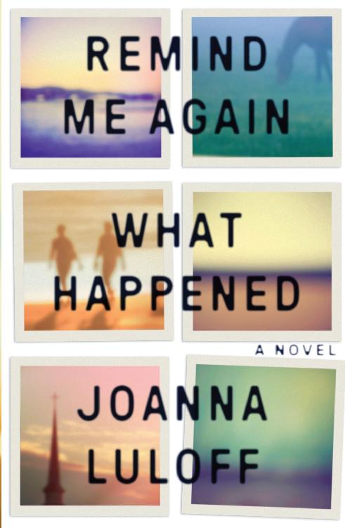 Remind Me Again What Happened Joanna Luloff Luloff Joanna