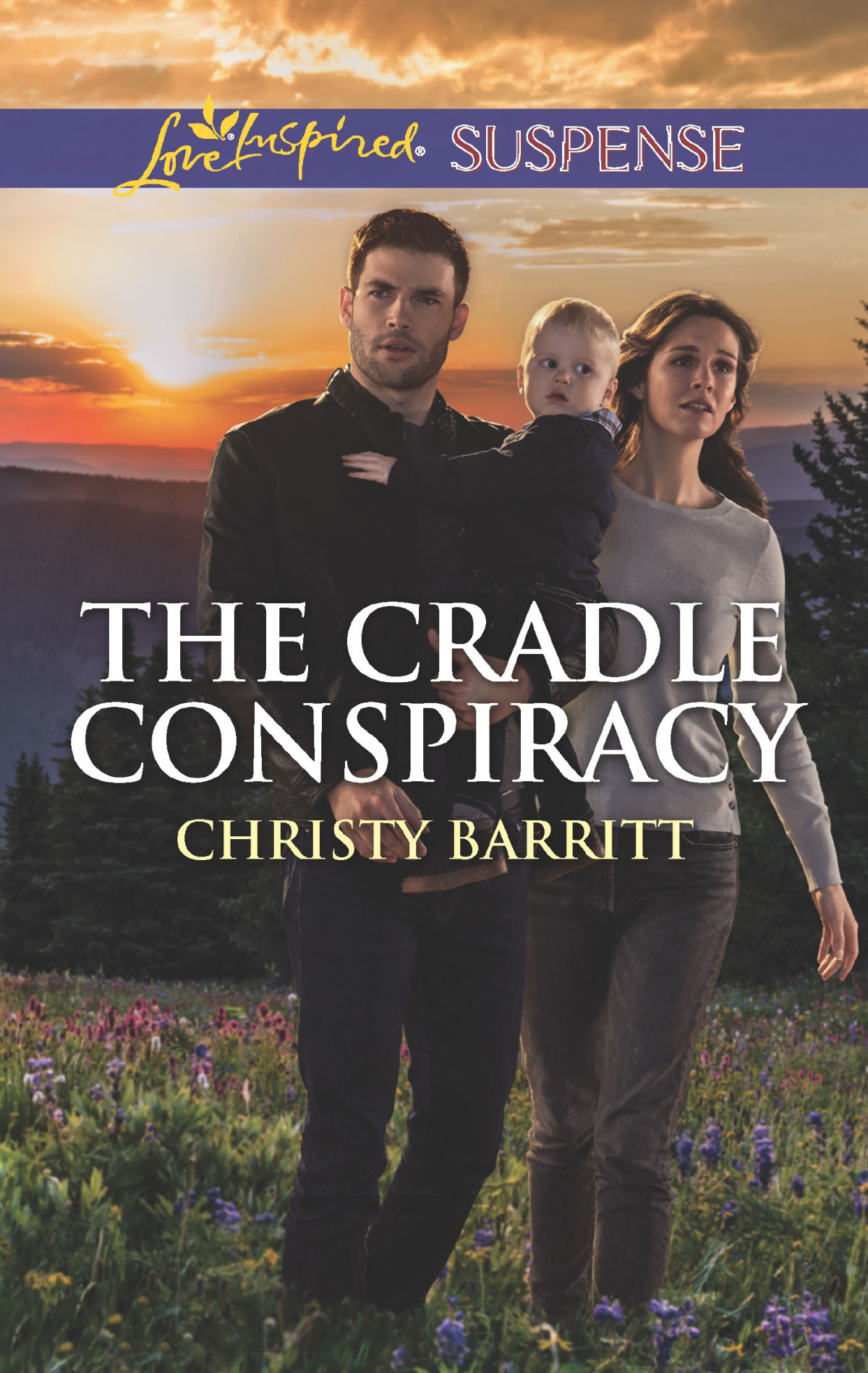 The Cradle Conspiracy Christy Barritt