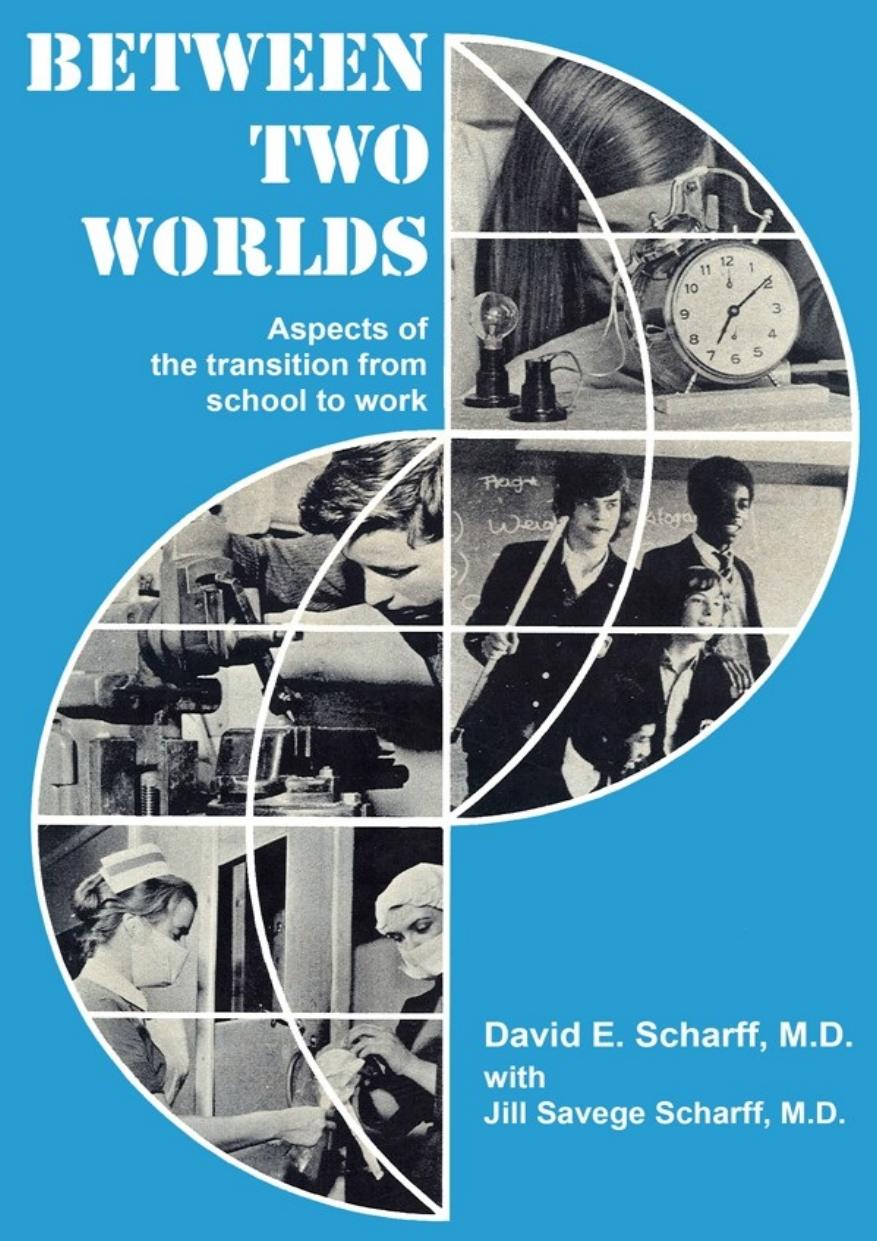 Between Two Worlds David E Scharff Jill Scharff Scharff David E Scharff
