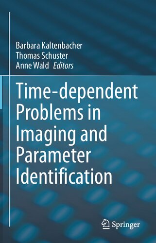 Timedependent Problems In Imaging And Parameter Identification Barbara Kaltenbacher Editor