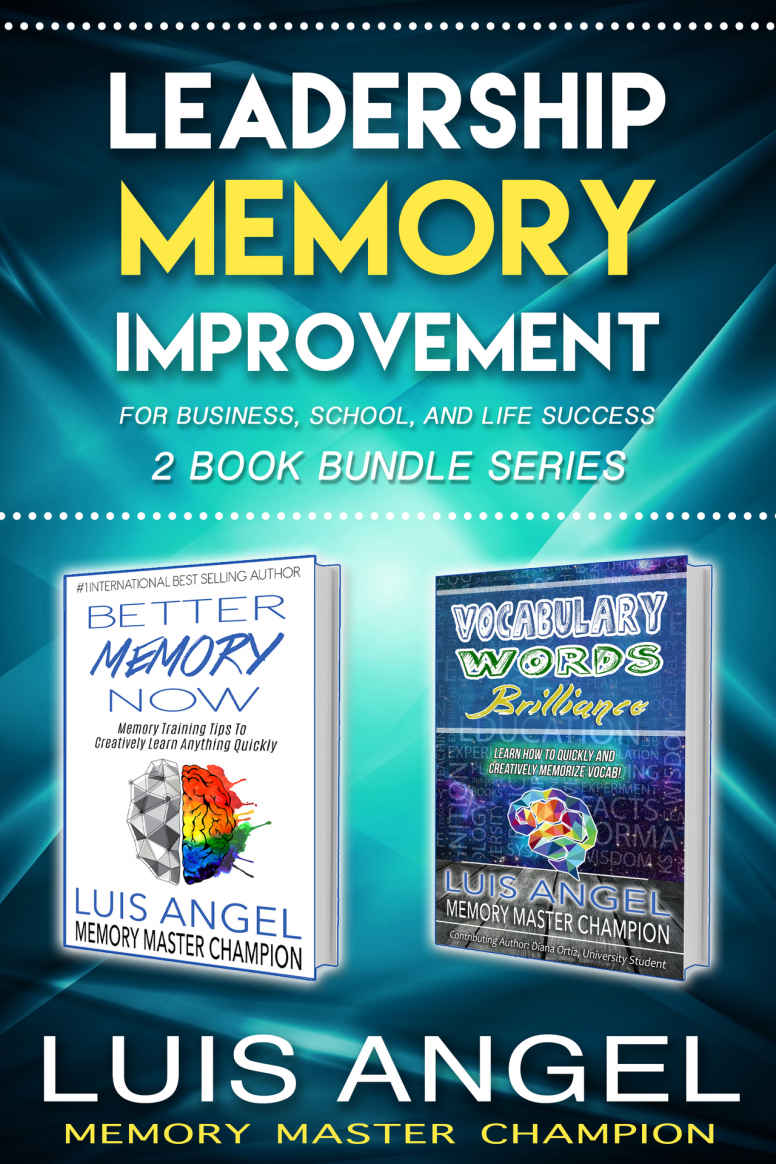 Leadership Memory Improvement For Business School And Life Success 2 Book Bundle Series Better Memory Now And Vocabulary Words Training To Take Charge Of Your Brain Power Luis Angel Echeverria Echeverria