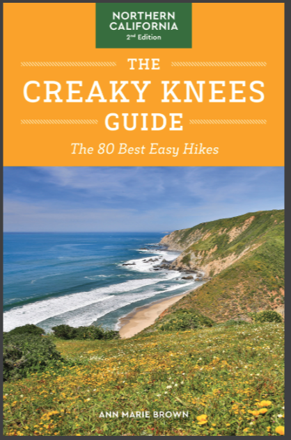 The Creaky Knees Guide Ann Marie Brown