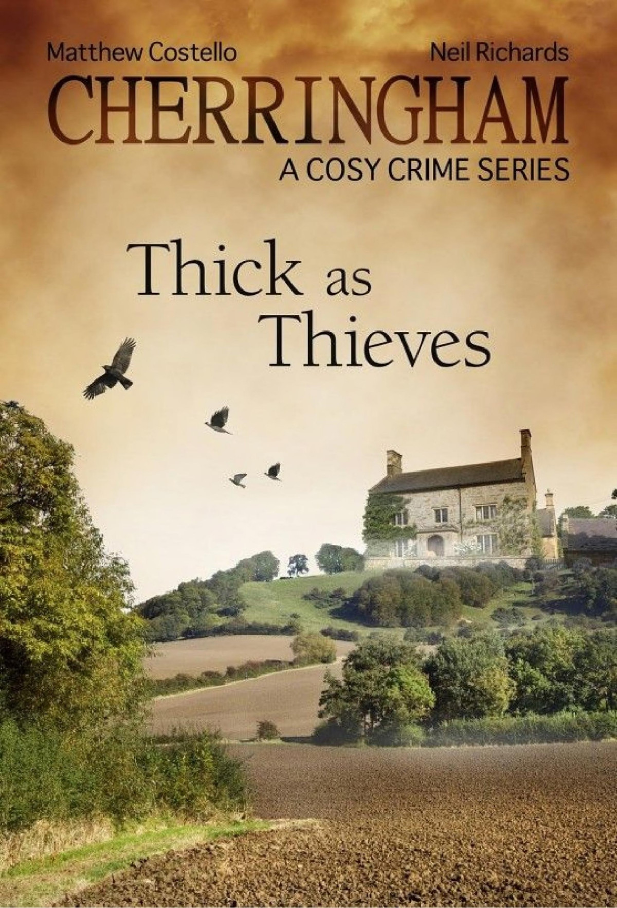 Thick As Thieves Matthew Costello Neil Richards Costello Matthew Richards