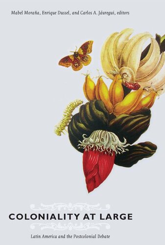 Coloniality At Large Latin America And The Postcolonial Debate Mabel Moraa