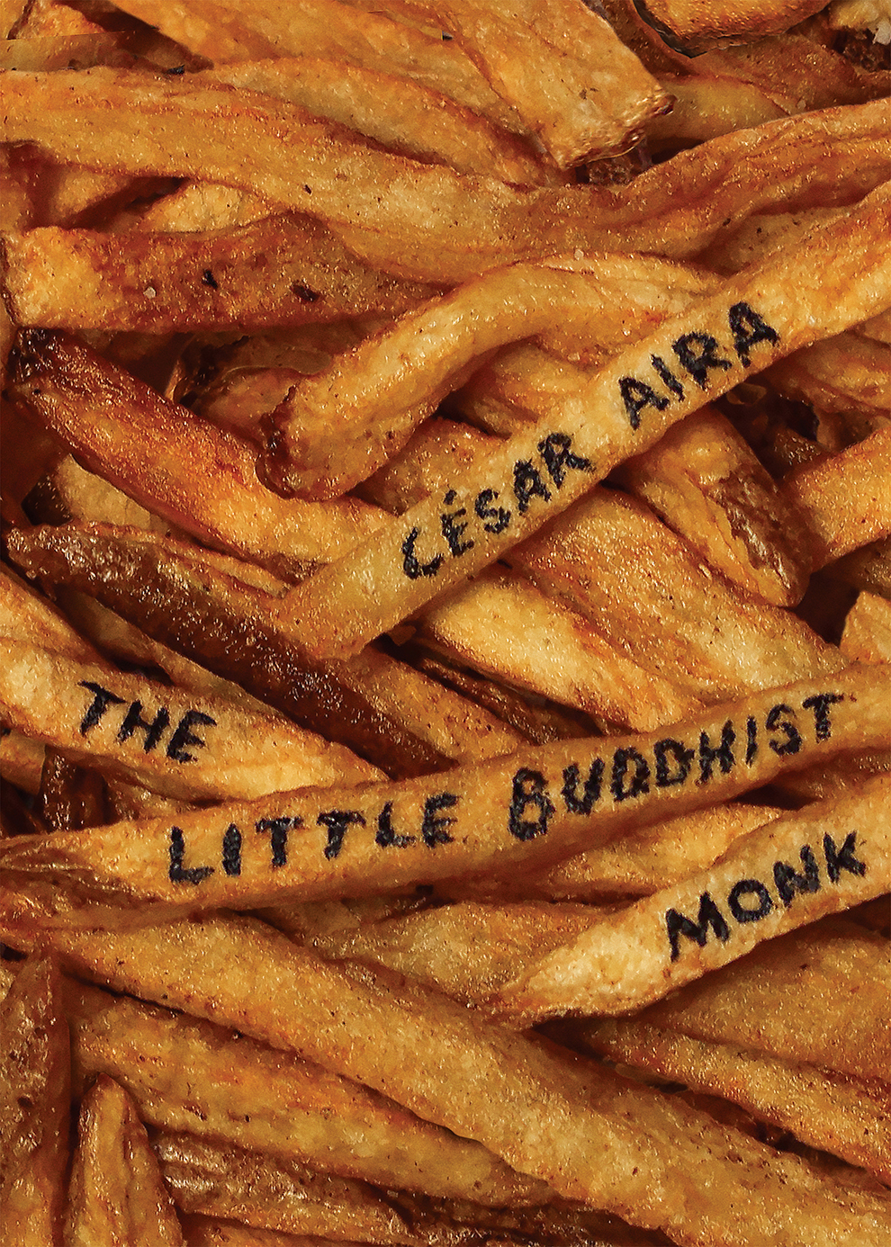 The Little Buddhist Monk The Proof Csar Aira