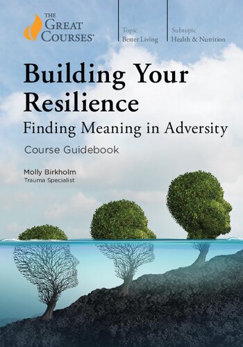 Building Your Resilience Finding Meaning In Adversity Molly Birkholm